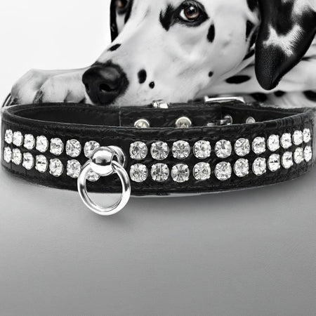 Style #72 Rhinestone Designer Croc Dog Collar - Dog Collars