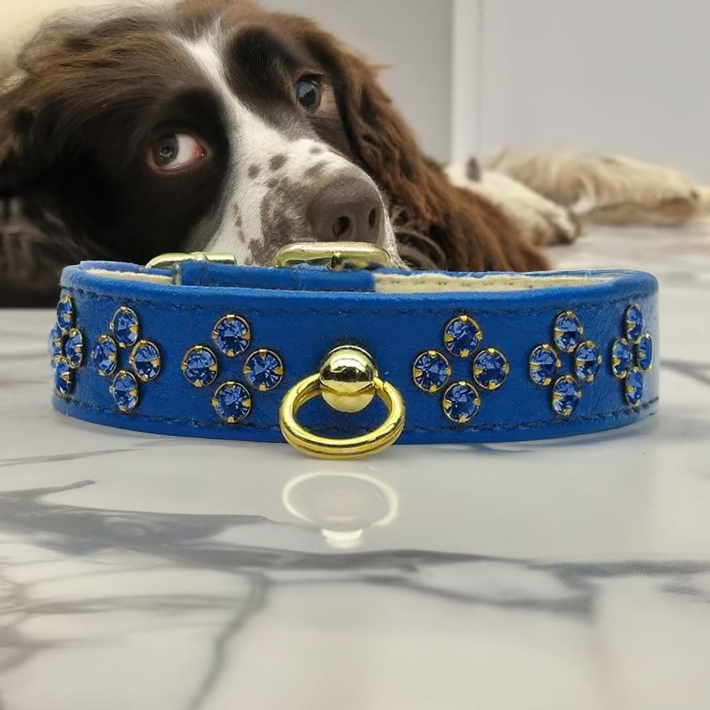 Tiara Rhinestone Dog Collars - Dog Collars - Jeweled