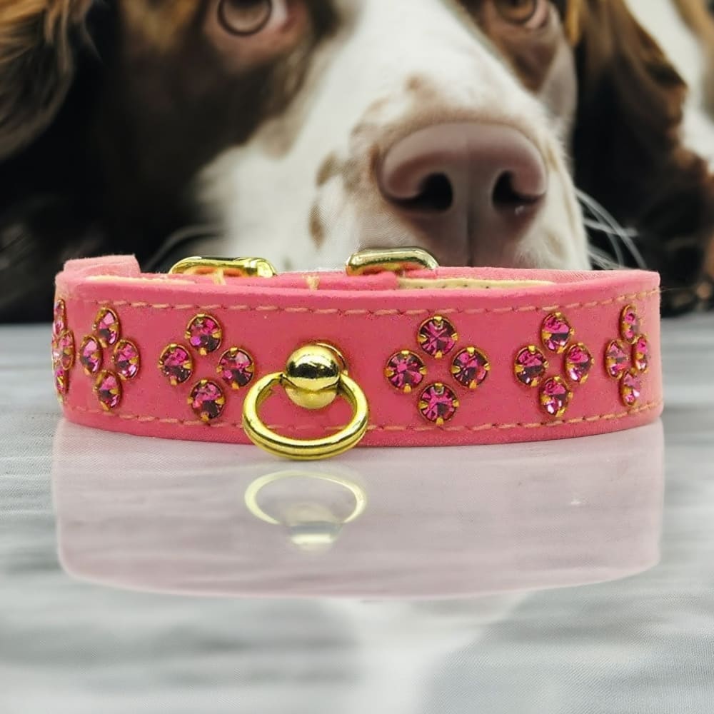 Tiara Rhinestone Dog Collars - Dog Collars - Jeweled