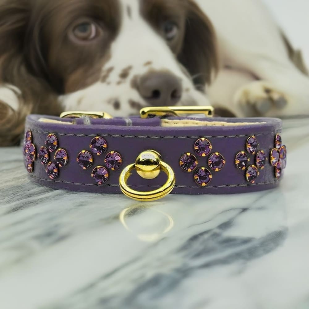 Tiara Rhinestone Dog Collars - Dog Collars - Jeweled