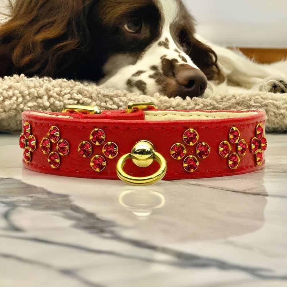 Tiara Rhinestone Dog Collars - Dog Collars - Jeweled