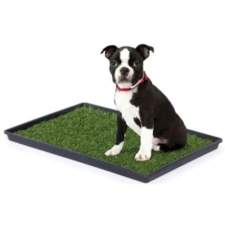 Tinkle Turf - Pet Waste Disposal
