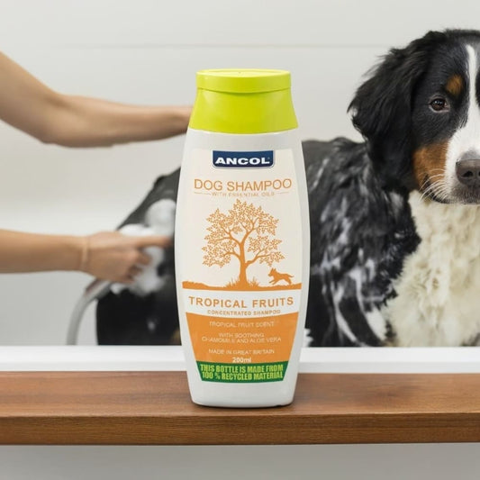 Ancol Tropical Fruit Dog Shampoo - Gentle Puppy Shampoo