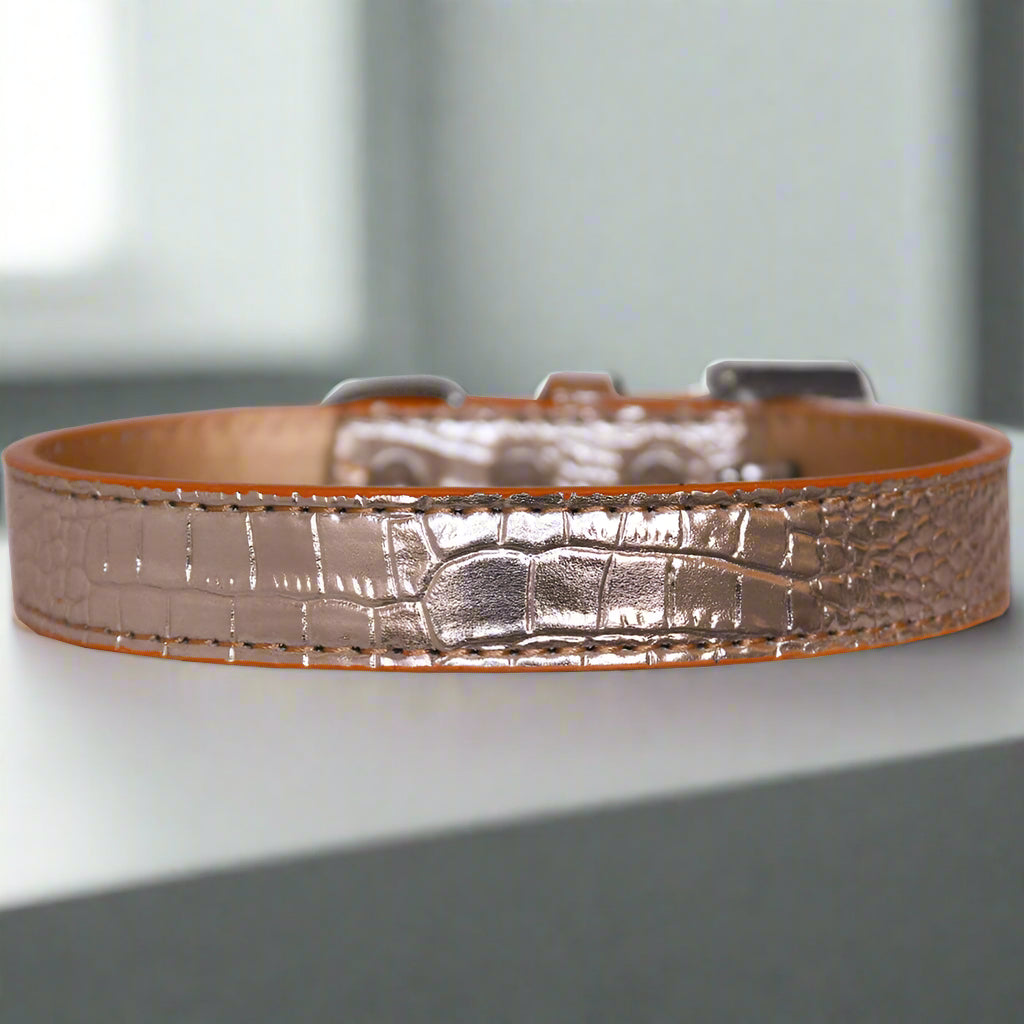 Tulsa Plain Croc Dog Collars - Dog Collars - Designer Croc