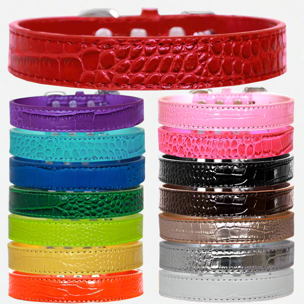 Tulsa Plain Croc Dog Collars - Dog Collars - Designer Croc