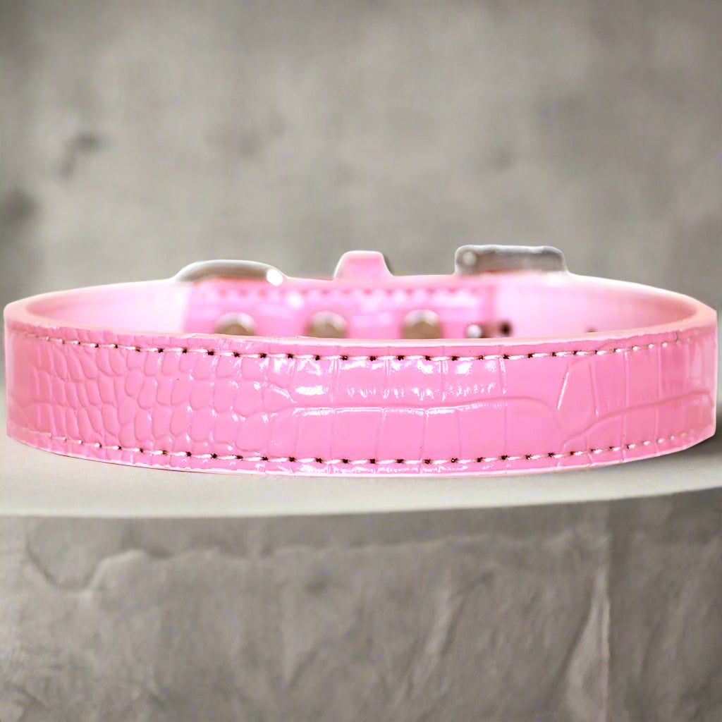 Tulsa Plain Croc Dog Collars - Dog Collars - Designer Croc