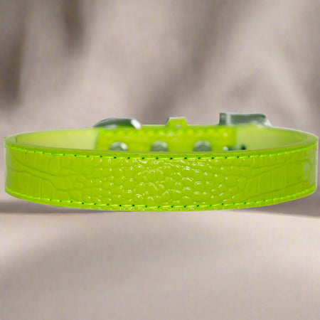Tulsa Plain Croc Dog Collars - Dog Collars - Designer Croc