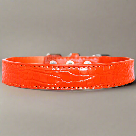 Tulsa Plain Croc Dog Collars - Dog Collars - Designer Croc