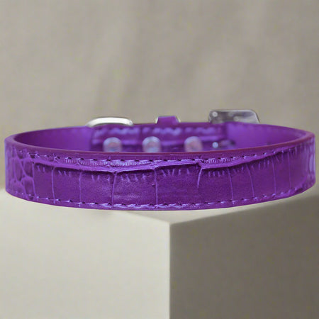 Tulsa Plain Croc Dog Collars - Dog Collars - Designer Croc