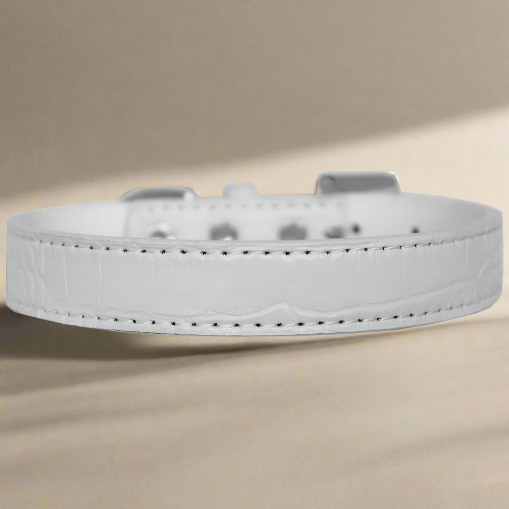 Tulsa Plain Croc Dog Collars - Dog Collars - Designer Croc