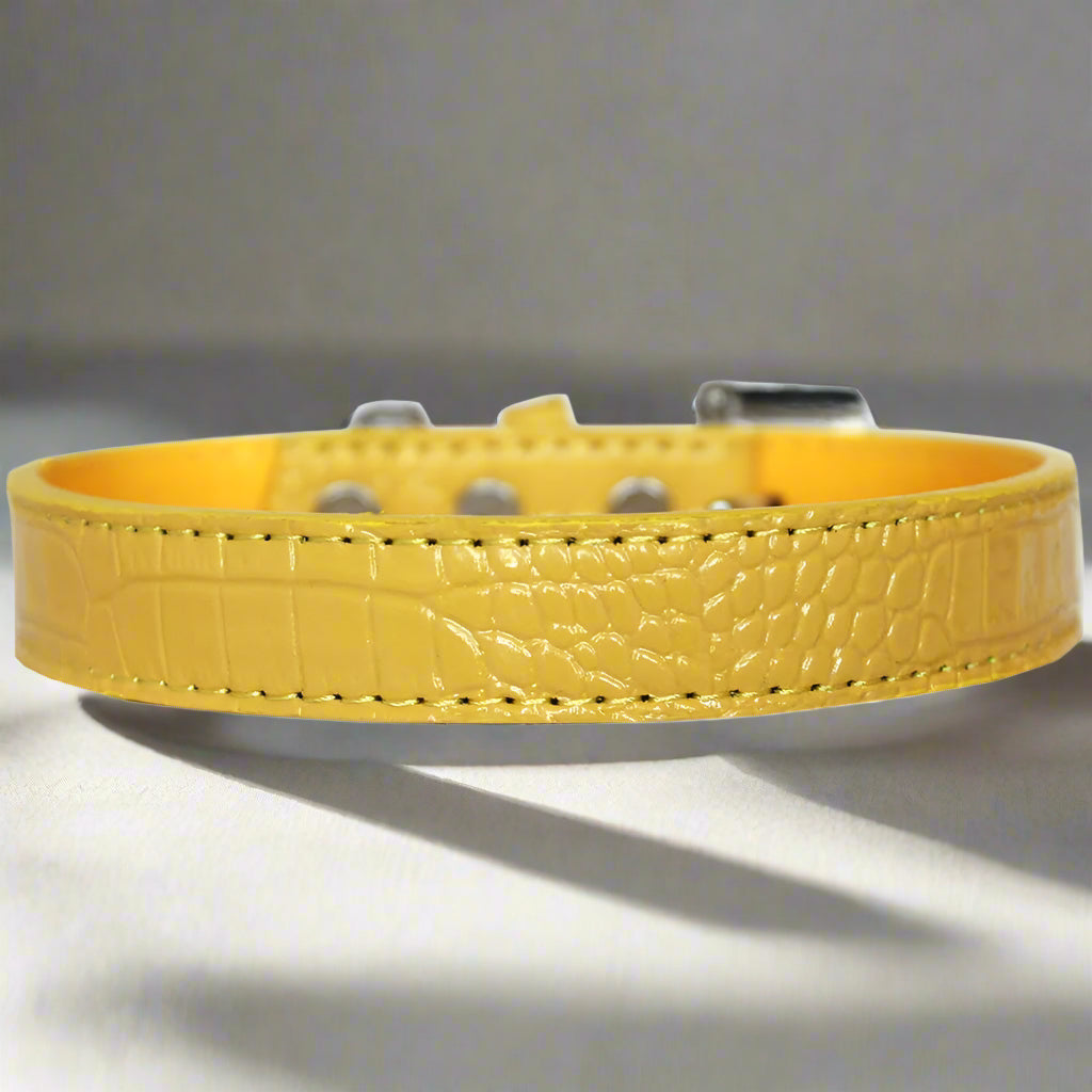 Tulsa Plain Croc Dog Collars - Dog Collars - Designer Croc