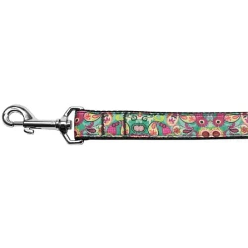 Turquoise Paisley Nylon Dog Collar & Leash - Dog Collars