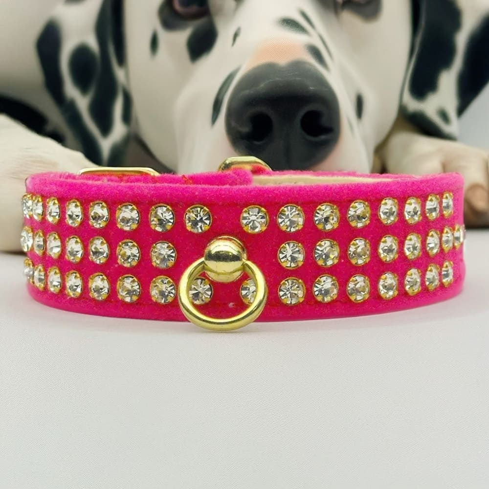 Velvet #73 Dog Collar - Dog Collars - Velvet