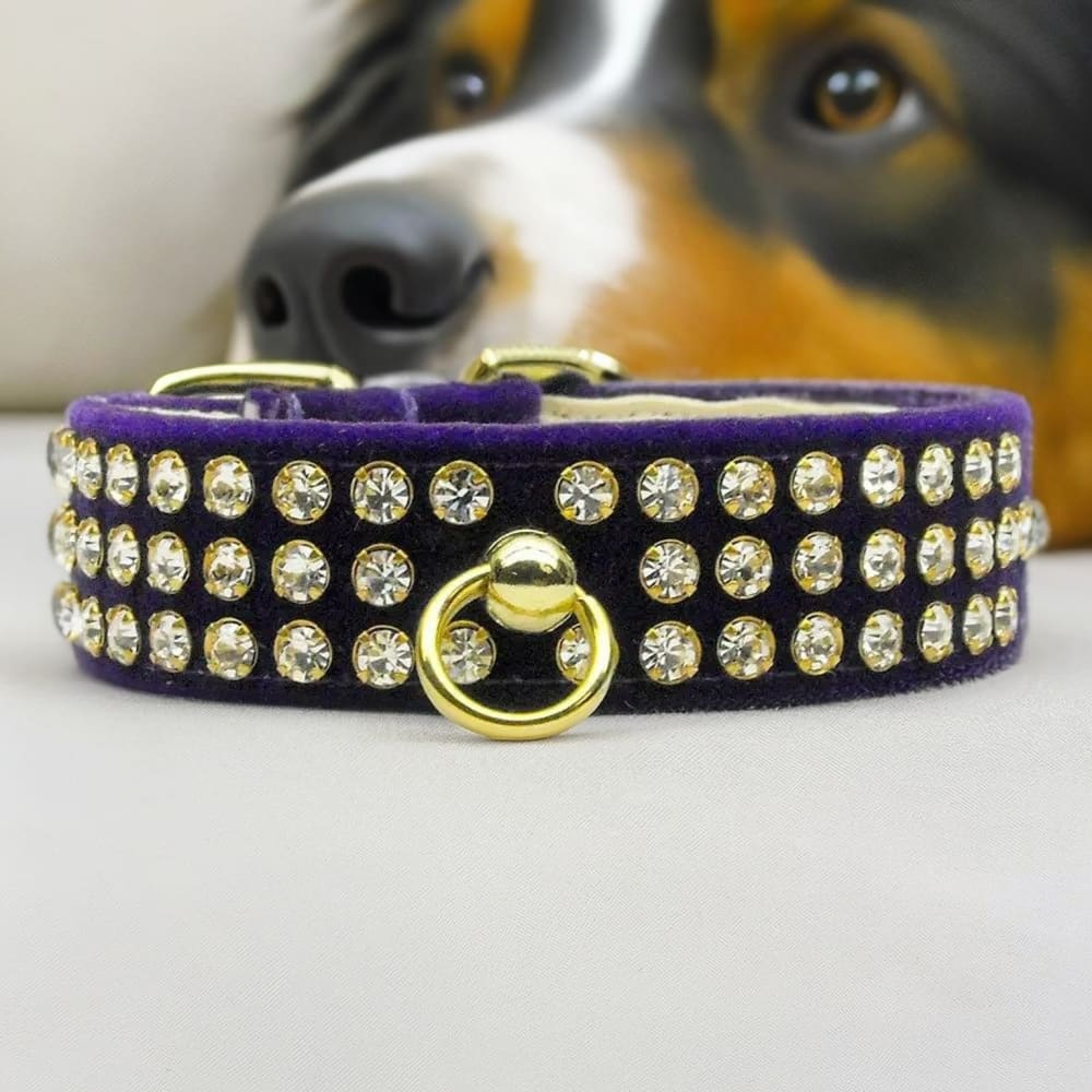Velvet #73 Dog Collar - Dog Collars - Velvet