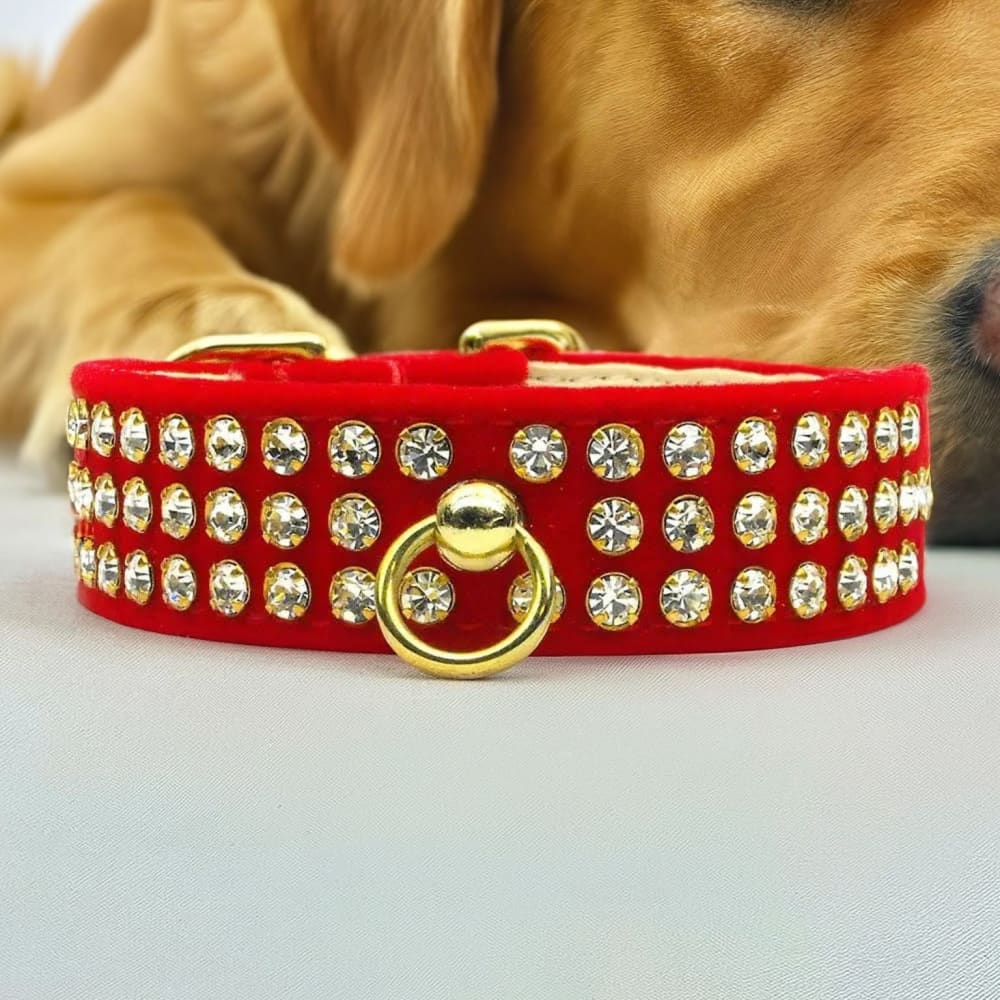 Velvet #73 Dog Collar - Dog Collars - Velvet