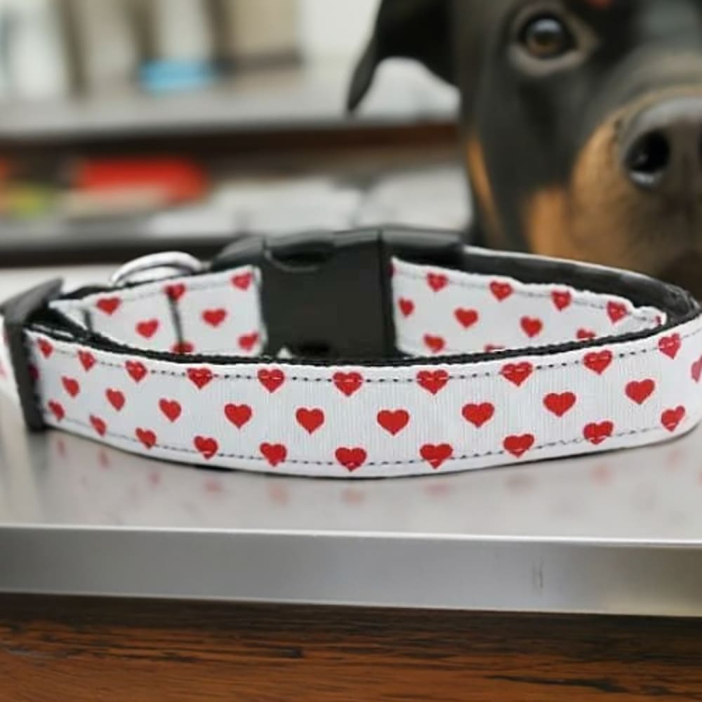 White And Red Dotty Hearts Nylon Dog Collar & Leash - Dog