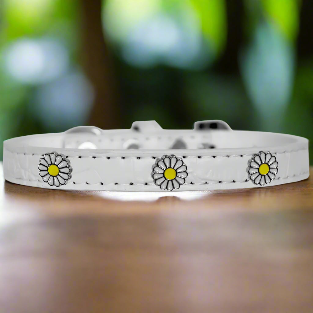 White Daisy Widget Croc Dog Collar - Dog Collars - Designer
