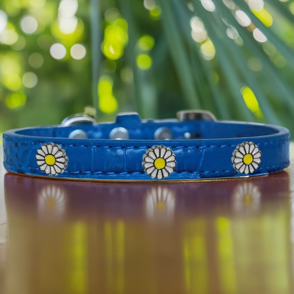 White Daisy Widget Croc Dog Collar - Dog Collars - Designer
