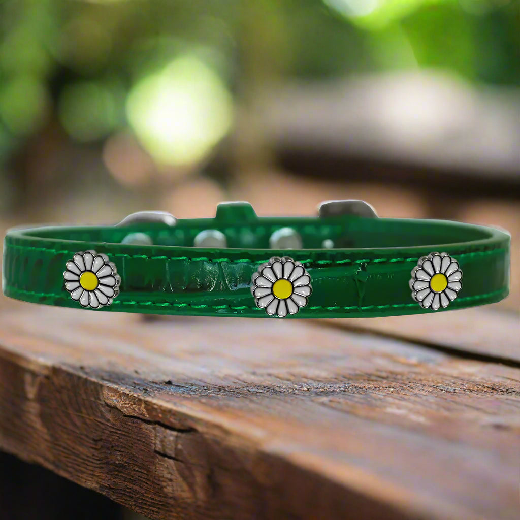 White Daisy Widget Croc Dog Collar - Dog Collars - Designer