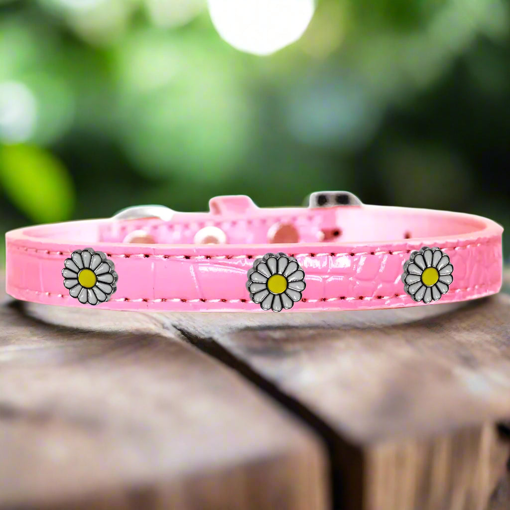 White Daisy Widget Croc Dog Collar - Dog Collars - Designer