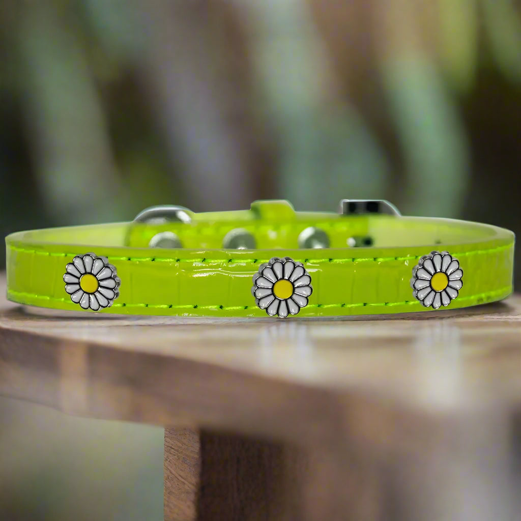 White Daisy Widget Croc Dog Collar - Dog Collars - Designer