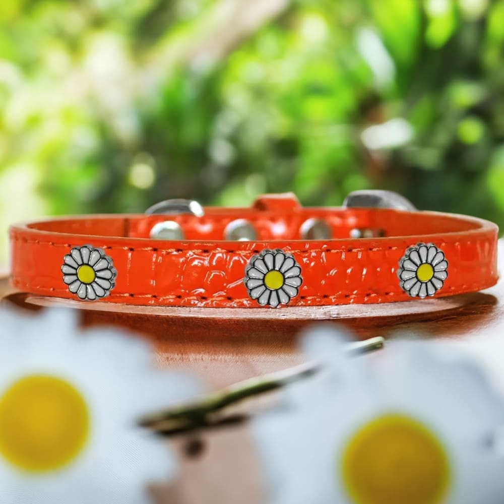 White Daisy Widget Croc Dog Collar - Dog Collars - Designer