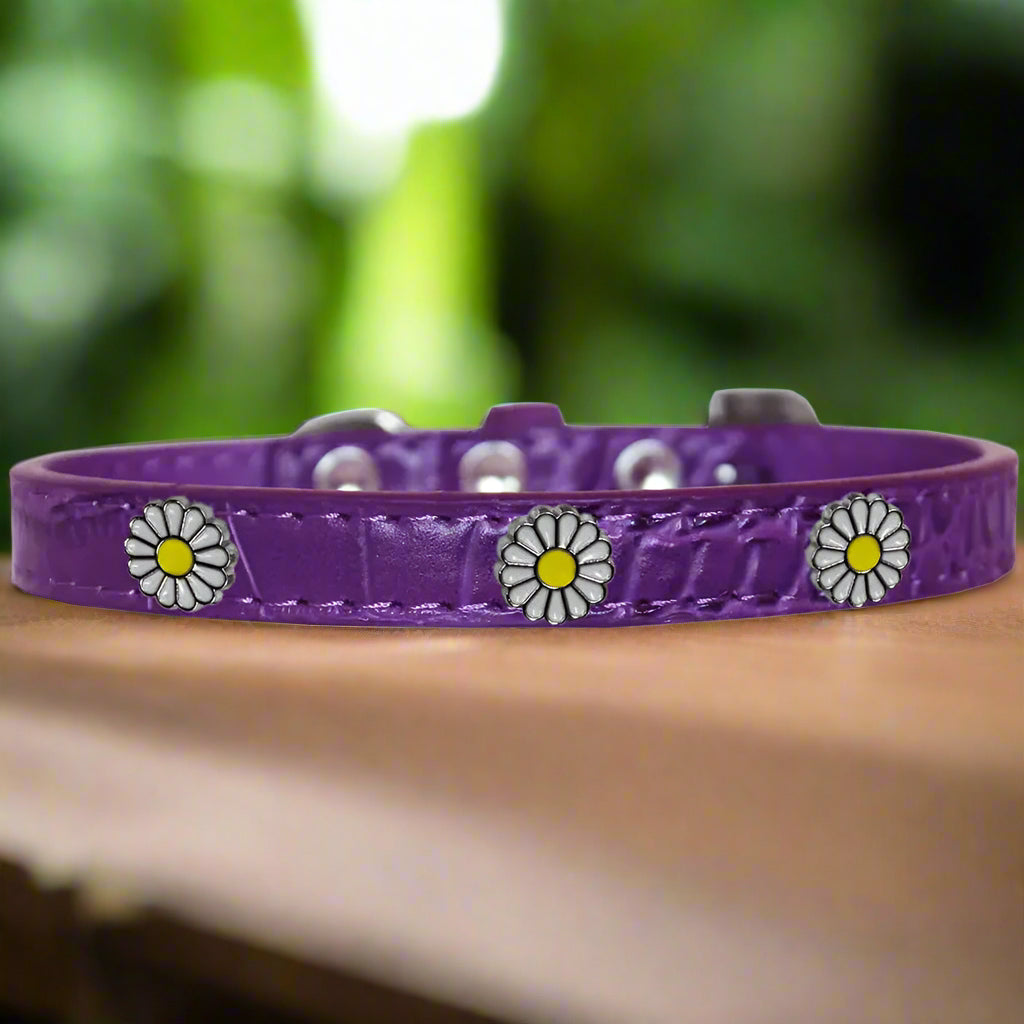 White Daisy Widget Croc Dog Collar - Dog Collars - Designer