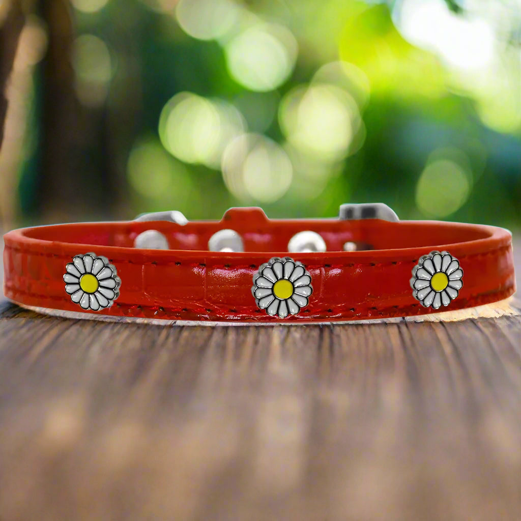 White Daisy Widget Croc Dog Collar - Dog Collars - Designer